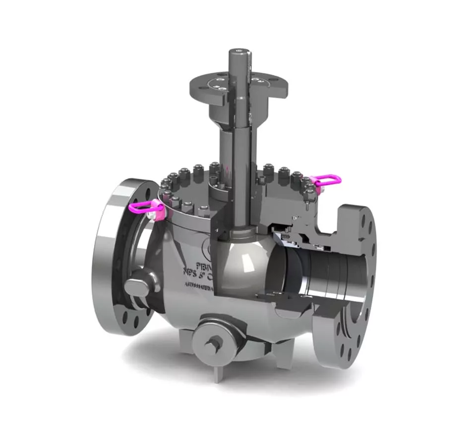 Pibiviesse 8211 Top Entry Trunnion Mounted