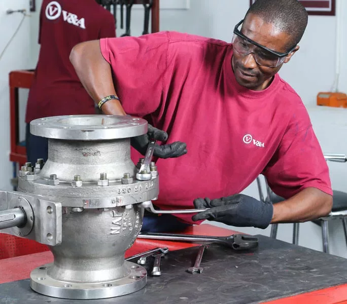 Valve Repairs